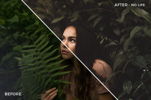 5 No Life - Beachy Vibes Lightroom Presets - Kilikai Ahuna - FilterGrade Digital Marketplace