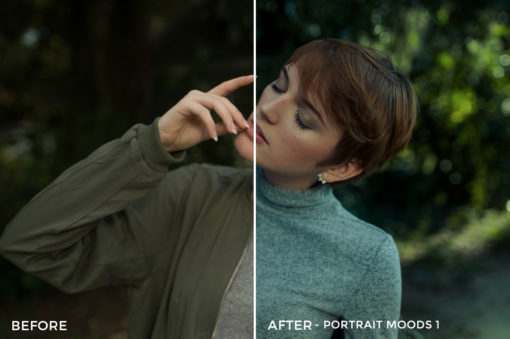 7 Portrait Moods 1 - TJ Drysdale Lightroom Presets - TJ Drysdale Nature & Portrait Photography - FilterGrade Digital Marketplace