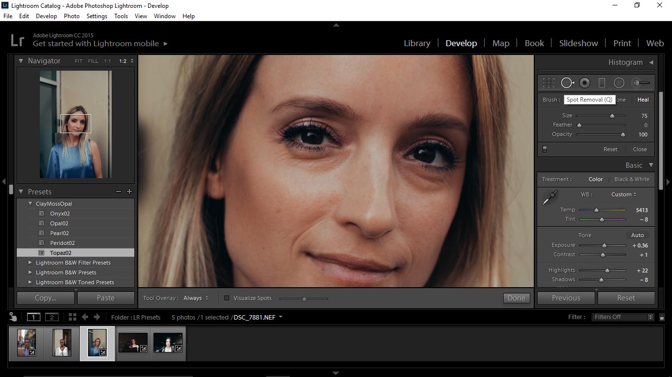 9Editing Portraits Using Unique Lightroom Presets - FilterGrade Blog