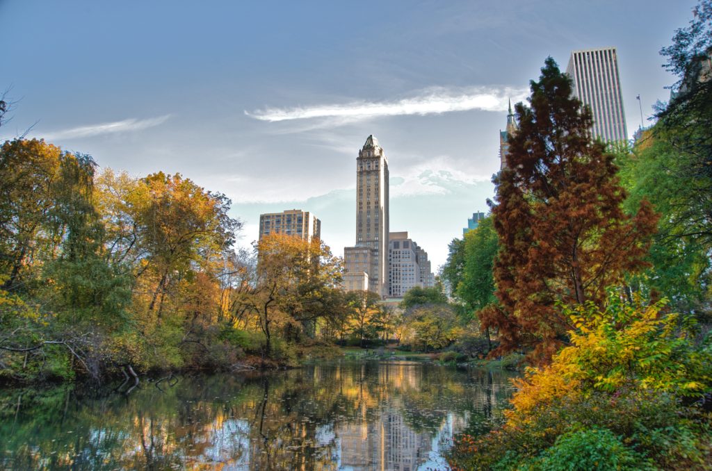 photography-destinations-central-park-new-york