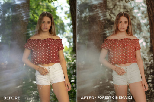 Forest-Cinema-C2-Thomas-Beerten-Forest-Cinema-Lightroom-Presets-FilterGrade