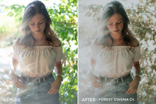 Forest-Cinema-C4-Thomas-Beerten-Forest-Cinema-Lightroom-Presets-FilterGrade