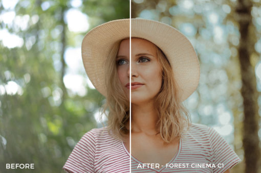 Forest-Cinema-C1-Thomas-Beerten-Forest-Cinema-Lightroom-Presets-FilterGrade