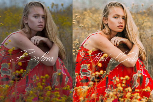 8 Gail Bowman Golden Hour Lightroom Presets - FilterGrade