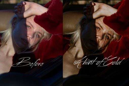 Gail Bowman Golden Hour Desktop Lightroom Presets - Image 8