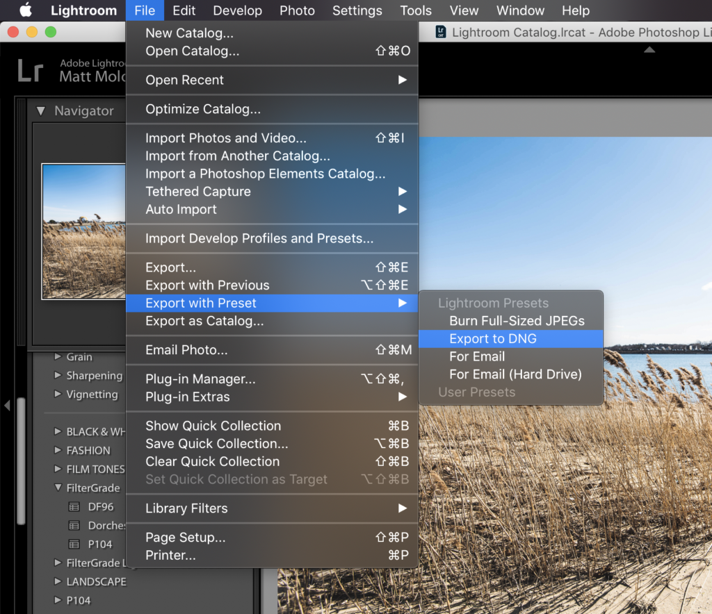 2 How to Convert Lightroom Presets to DNG Files - FilterGrade