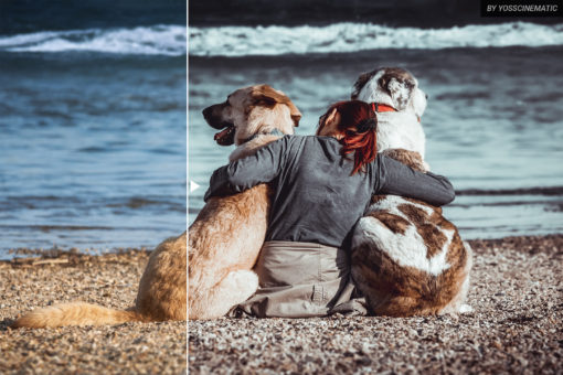 Lightroom Presets | Blogger Presets | Portrait Presets - Image 7