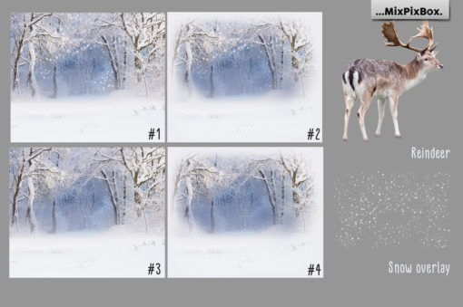 Winter Reindeer Backdrop + Scenery - Image 2