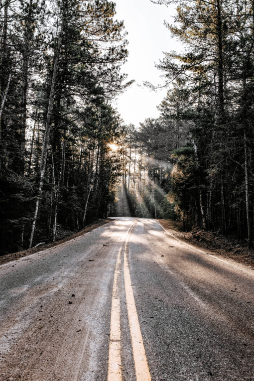 Adventure | Travel | Action Sports | Nature | Landscape | Moody | Tropical | Cinematic | Blogger | Lifestyle | Portrait | Wedding | Bright | Instagram for Mobile + Desktop Lightroom Presets - Image 6