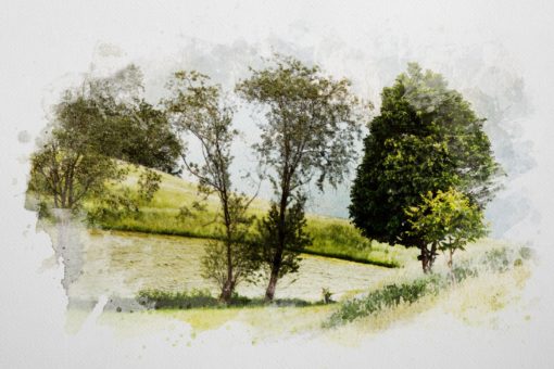 Watercolor Dry Brush Effects (PSD Template) - Image 2