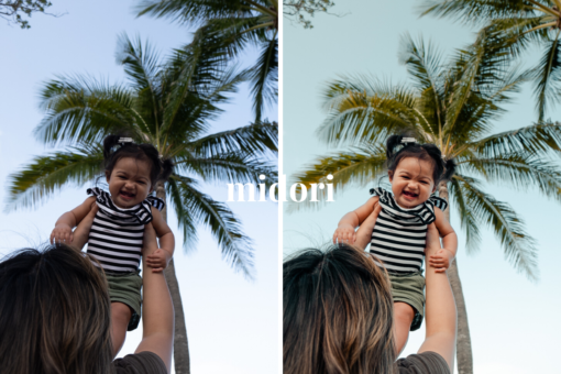 The OG Collection - Creative LUTs - Image 7