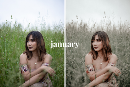The OG Collection - Creative LUTs - Image 8