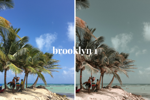 The OG Collection - Creative LUTs - Image 13