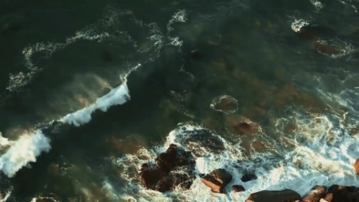 TROPICAL LUTs for Adobe Premiere Pro, FCPX, Photoshop - Image 6
