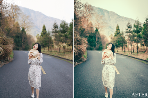 MyBeautifulPresets Portrait Bundle (Desktop + Mobile) - Image 12