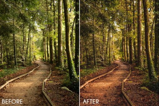 Yohann Lc Lightroom Presets - Image 8