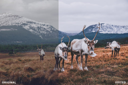 Travel & Landscape lightroom Presets By presetsh - Image 8
