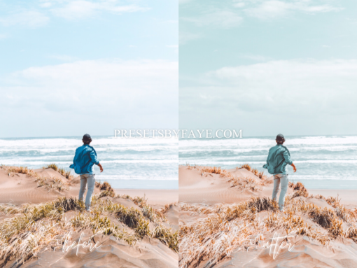 PERIST LIGHTROOM PRESETS - Image 4