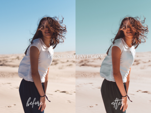 PERIST LIGHTROOM PRESETS - Image 3