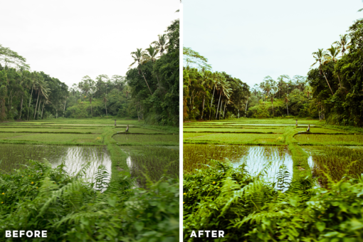 JoanSlye Landscape Lightroom Presets V3 - Image 4