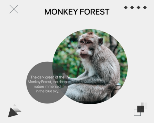 Bali – Travelers LUT PACK – ChaosLab Studio - Image 5