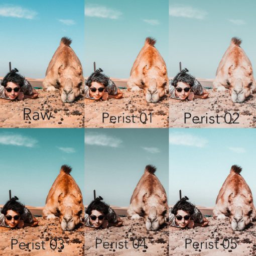 PERIST LIGHTROOM PRESETS - Image 12