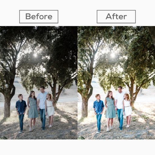 10 Family Presets for Lightroom Mobile App and Desktop - Image 7