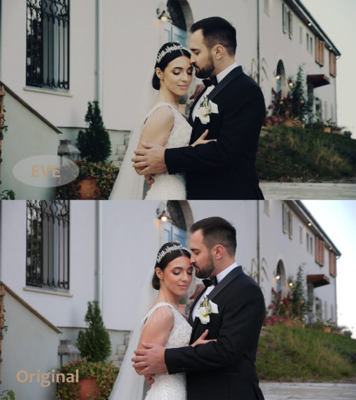 Cinematic WEDDING Luts Pack - Image 5
