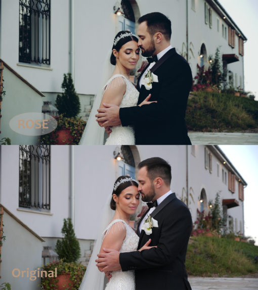 Cinematic WEDDING Luts Pack - Image 11