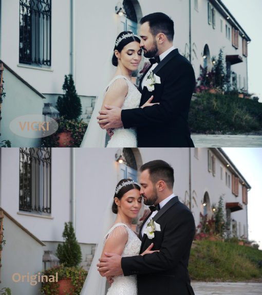 Cinematic WEDDING Luts Pack - Image 13