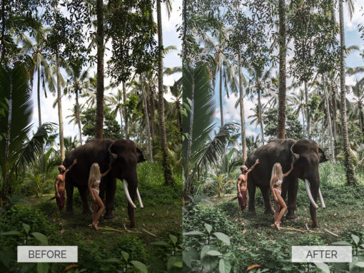 Bali Collection Lightroom Presets - Image 2