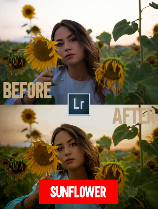 MASTER COLLECTION by SIMONE PANNULLO - Lightroom Preset - Image 2