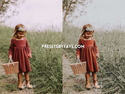 KIDS IN FIELD LIGHTROOM PRESETS - Image 3
