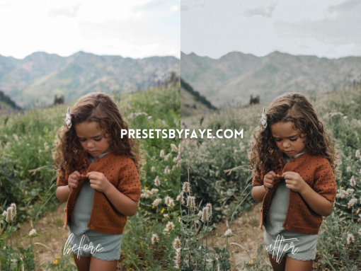 KIDS IN FIELD LIGHTROOM PRESETS - Image 5