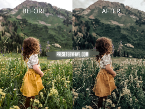 KIDS IN FIELD LIGHTROOM PRESETS - Image 11