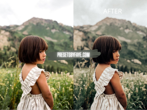 KIDS IN FIELD LIGHTROOM PRESETS - Image 10