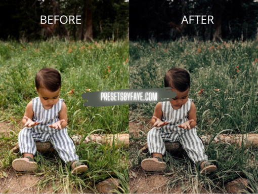 KIDS IN FIELD LIGHTROOM PRESETS - Image 8