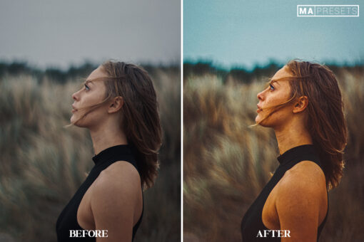 10 CINEMATIC FILM - Mobile & Desktop Lightroom Presets - Image 11