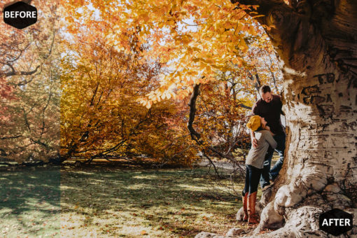 Pumpkin Photoshop Actions And LUT Presets - Image 2