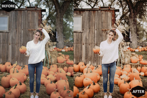 Pumpkin Photoshop Actions And LUT Presets - Image 7