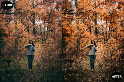 Pumpkin Photoshop Actions And LUT Presets - Image 3