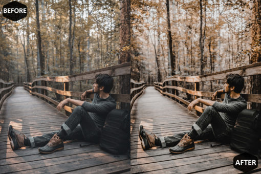 Pumpkin Photoshop Actions And LUT Presets - Image 10