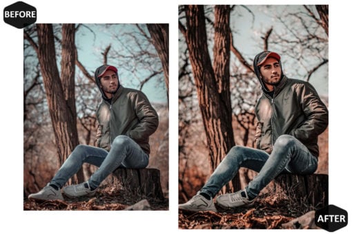 10 Rich And Moody Mobile & Desktop Lightroom Presets - Image 2