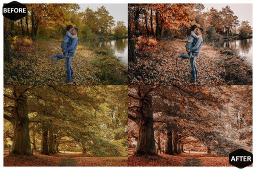 10 Rich And Moody Mobile & Desktop Lightroom Presets - Image 9