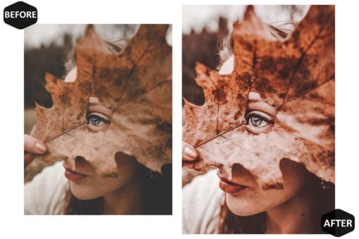10 Rich And Moody Mobile & Desktop Lightroom Presets - Image 8