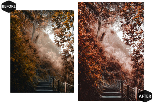 10 Rich And Moody Mobile & Desktop Lightroom Presets - Image 7