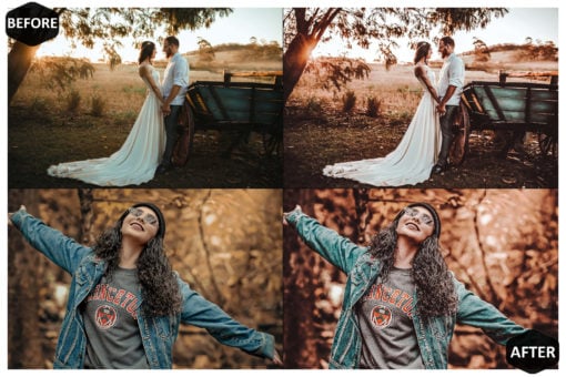 10 Rich And Moody Mobile & Desktop Lightroom Presets - Image 6