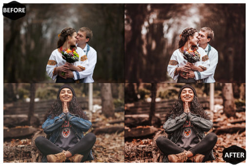 10 Rich And Moody Mobile & Desktop Lightroom Presets - Image 3