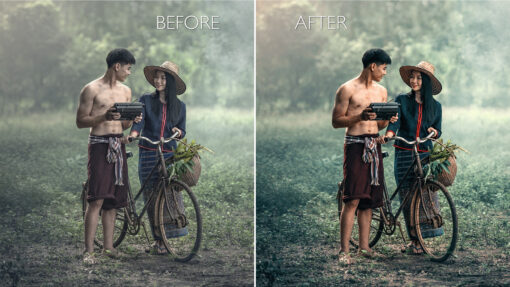 CINEMATIC LUTs PACK - INSTAGRAM LOOKS (Presets for Premiere Pro) - Image 9