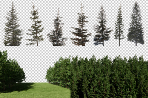 50 Conifer Branches Tress Clipart, Digital Tree Cornes Cut Out - Image 6